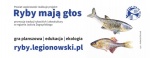Ikona